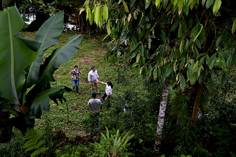Portos do Paraná investiu R$ 35 milhões em ações ambientais e socioambientais em 2024