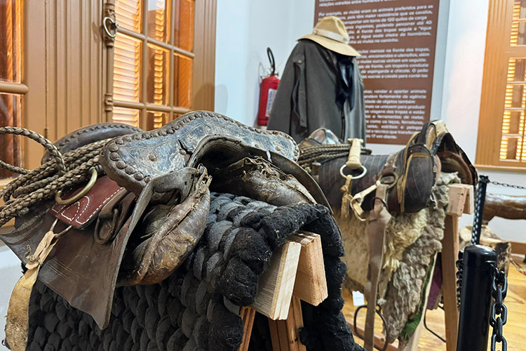 Jaguariaíva celebra o Dia do Tropeiro com semana de cultura, tradição e sabores