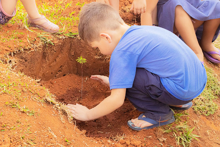 UEPG é primeira do Paraná em parcerias no ranking do THE