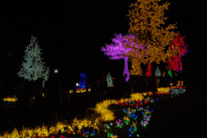 Ponta Grossa abre hoje programação de Natal no Parque Linear