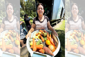 ‘Feira Verde’ fecha 2025 com mais de 92 mil atendimentos em Ponta Grossa