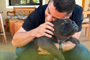 Devolução de animais ao local de origem já era normativa no governo Marcelo Rangel